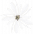 Our Special Day - Painted Flowers - Flower 12