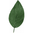 Picnic Day - Leaf 2