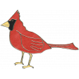 Back To Nature - Cardinal Doodle