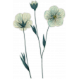 Cozy Day - Flower Sticker 1