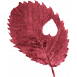 Cozy Day - Red Leaf