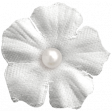 Raindrops & Rainbows - White Flower