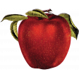 Apple Crisp - Red Apple 01