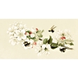 Apple Crisp - Apple Blossoms Ephemera 04