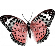 Love Knows No Borders Mini - Butterfly