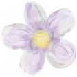 All the Princesses - Painted Purple Flower 01