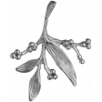 Charm Template 036
