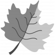 Layered Leaf Template 002