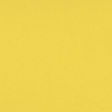 Summer Fun - Yellow Solid Paper