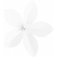 Paper Flower Template 038