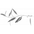 Branch Template 005