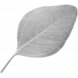Leaf Template 139