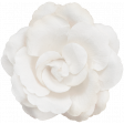 Farmhouse Christmas - White Flower