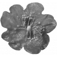 Fabric Flower Template 45