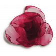 Nutcracker Red Flower - Shadowed