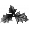 Leaf Template 036