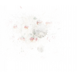 Strawberry Fields - Paint 07