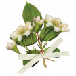 Country Wedding Leaf Cluster
