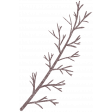 Cashmere & Cocoa Branch Stamp