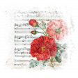 Music & Roses Splash