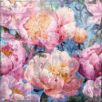 Peonies Background