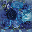 Blue Roses