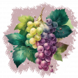 A Bunch of Grapes Paint Element