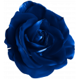 Blue Satin Fabric Rose