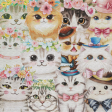 Cats Paper