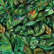 Tropical Leaves Background