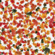 Autumn Leaves Background #01