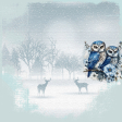 Winter Woodland Scenery Background