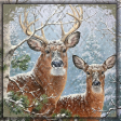 Deers in the Snow