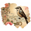 Torn Vintage Bird & Roses Paper Background
