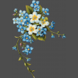 Forget-Me-Nots