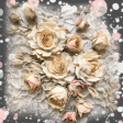 White & Cream Roses & Lace Bkgnd