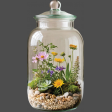 Wildflowers Terrarium