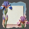 Iris Note Card 01