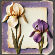 Iris Note Card 02