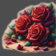 Red Roses 01