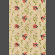 Ladybug Lace Bkgnd