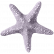 Fall Beach Vacation Embellishment 20