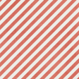 Poppy Field - Paper - Red Stripes