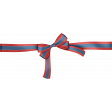 Celebrate America Bow #2