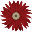 Celebrate America Flower #3