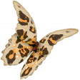 Do the Zoo Butterfly