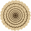 Do the Zoo Spiral Flower