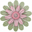 Butterfly Spring - flower 16