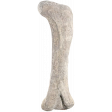 Dino-Mite, bone