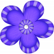 flower-Purple and Lavender